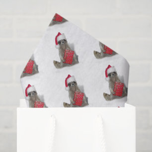 Papel De Seda Navidad de la banda de mapaches de Santa