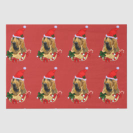 Papel De Seda Navidades Bloodhound