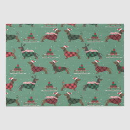 Papel De Seda Navidades Dachshunds con suéter y Santa Hat