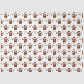 Papel De Seda Navidades de Have a Merry Hielan Coo