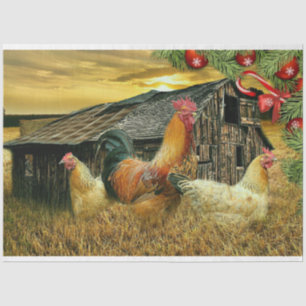 Papel De Seda Navidades De La Gallina De Pollos