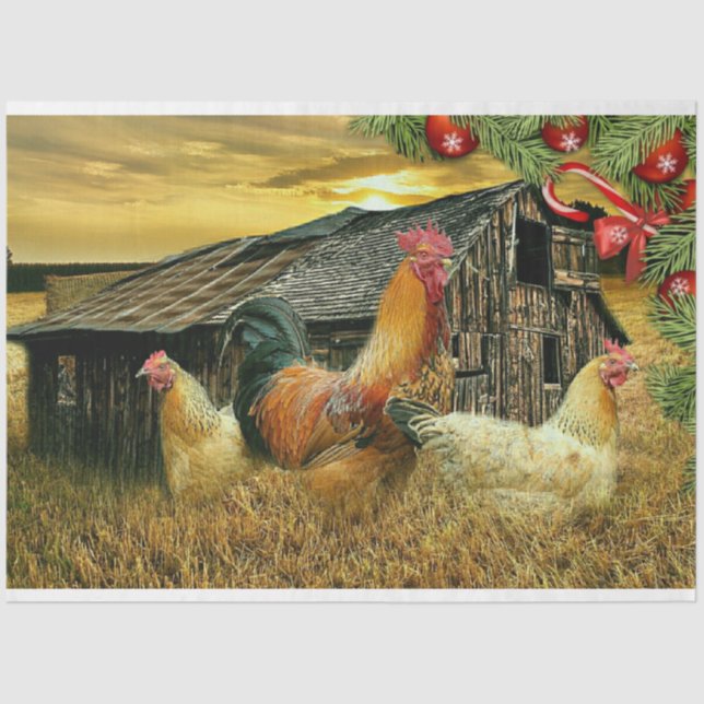 Papel De Seda Navidades De La Gallina De Pollos (Anverso)