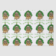 Navidades de Norwich Terrier