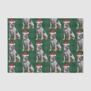 Papel De Seda Navidades de Perro Blue Heeler Green Plaid