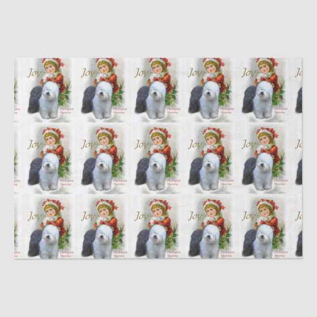 Papel De Seda Navidades de Sheepdog ingleses viejos (Anverso)