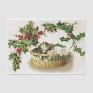 Papel De Seda Navidades durmientes súper cortos gatitos en una c