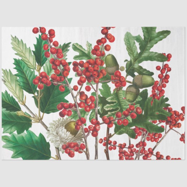 Papel De Seda Navidades Festividad Forestal Berries Acorn Evergr (Anverso)