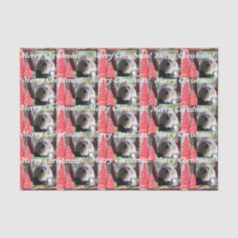 Papel De Seda Navidades malteses con árboles rojos