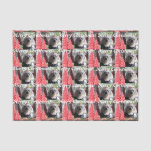 Papel De Seda Navidades malteses con árboles rojos