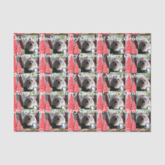 Papel De Seda Navidades malteses con árboles rojos