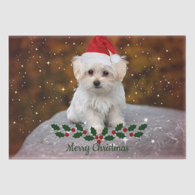 Papel De Seda Navidades malteses de Cachorros (Anverso)