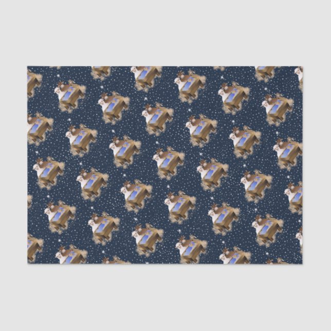 Papel De Seda Navidades Natividad Niño Jesús (Anverso)