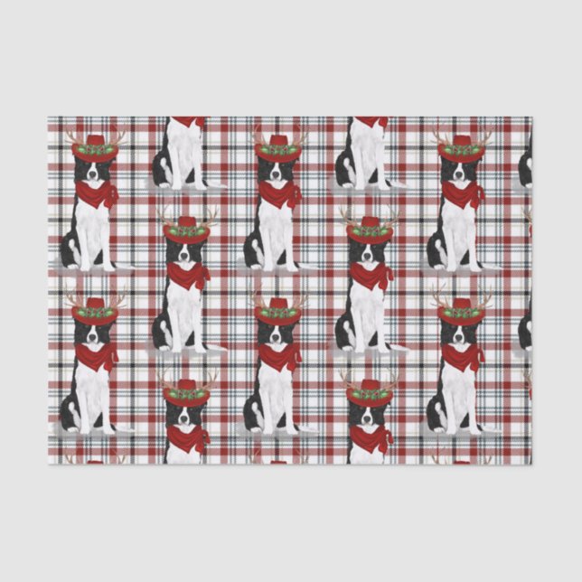 Papel De Seda Navidades occidentales de la frontera de Collie Lo (Anverso)