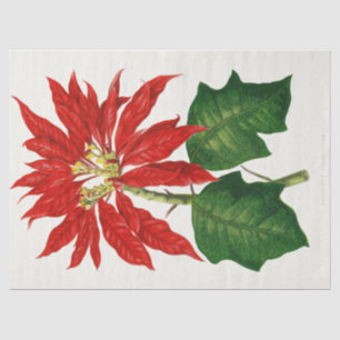 Papel De Seda Navidades Poinsetta Flor Red Decoupage