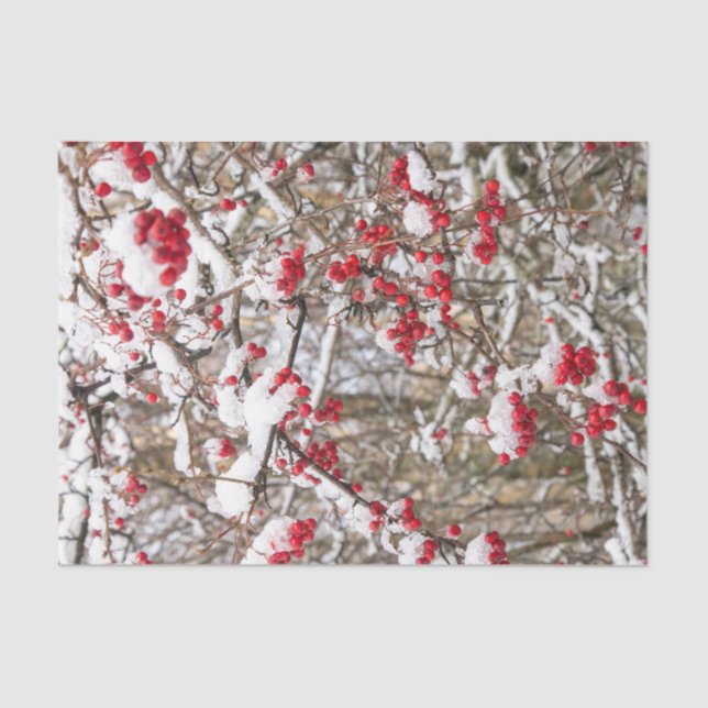 Papel De Seda Navidades rojos Holly Berries Nieve WInter Decoupa (Anverso)