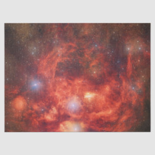 Papel De Seda Nebulosa Langosta
