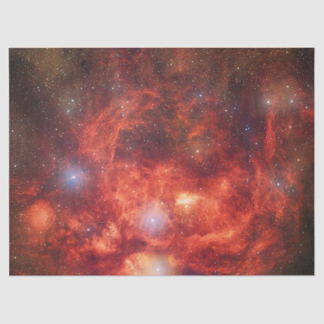 Papel De Seda Nebulosa Langosta (Anverso)