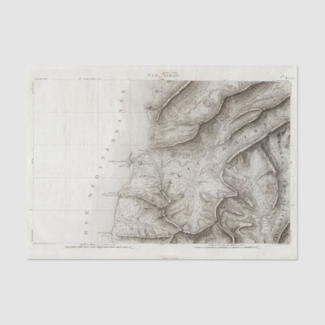 Papel De Seda Neumático, Sidon, Israel (Anverso)