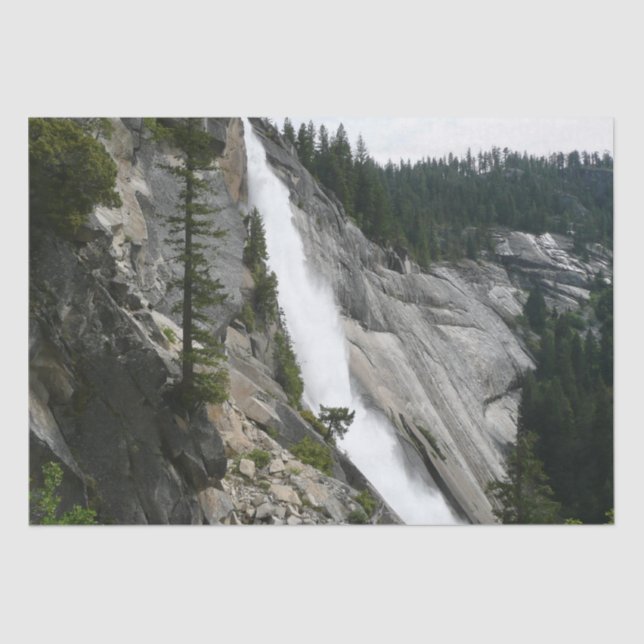 Papel De Seda Nevada cae en el Parque Nacional Yosemite (Anverso)