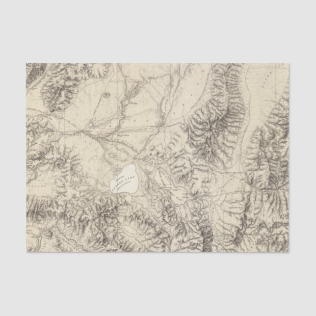 Papel De Seda Nevada occidental (Anverso)