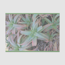 Papel De Seda Nevada succulantes