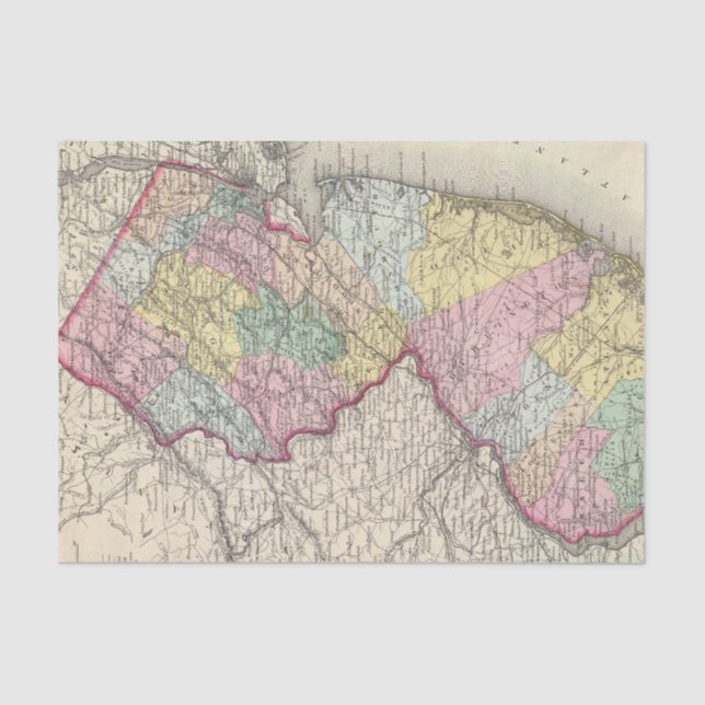 Papel De Seda New Jersey 2 (Anverso)