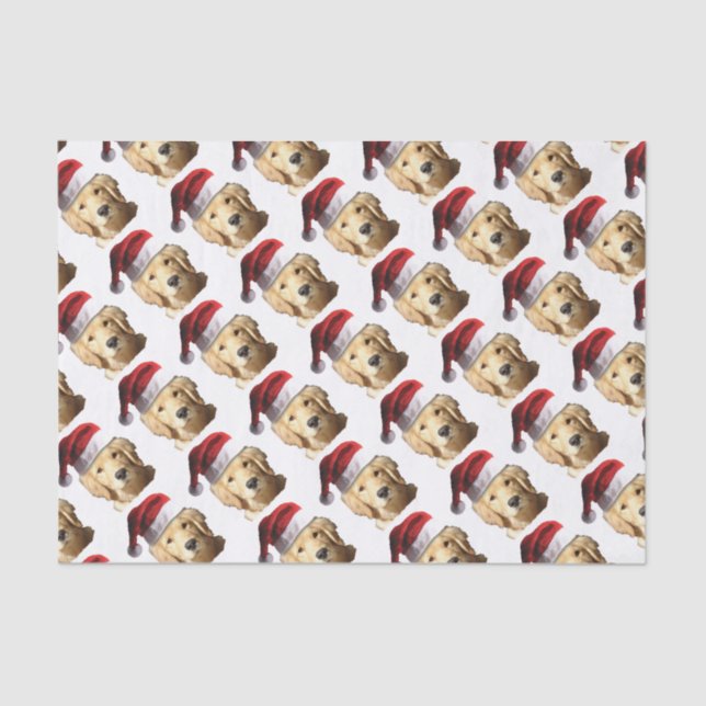 PAPEL DE SEDA NICKEL-WITH-A-HAT-3 (Anverso)