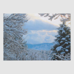 Papel De Seda Nieve sobre pinos en montañas rocosas de Colorado