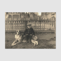 Niño de los años 1890 sentado en una fotografía de