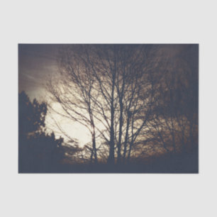 Papel De Seda Noche de Foggy Fall