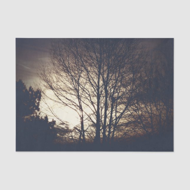 Papel De Seda Noche de Foggy Fall (Anverso)