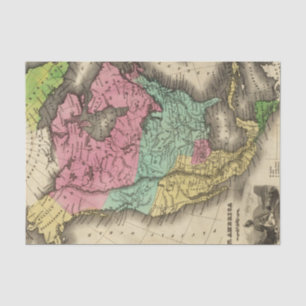 Papel De Seda Norteamérica