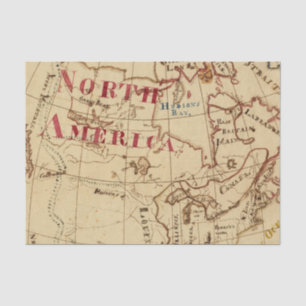 Papel De Seda Norteamérica 8