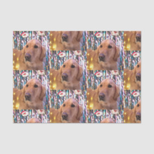 Papel De Seda Nova los Santa Navidades de Golden Retriever