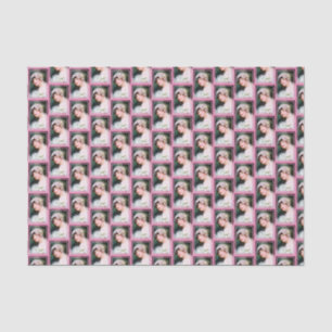 Papel De Seda Novia Vintage Boda Encaje Blanco Floral sobre Rosa