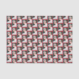 Papel De Seda Novia Vintage Encaje Blanco Tema Rojo Antiguo Casa