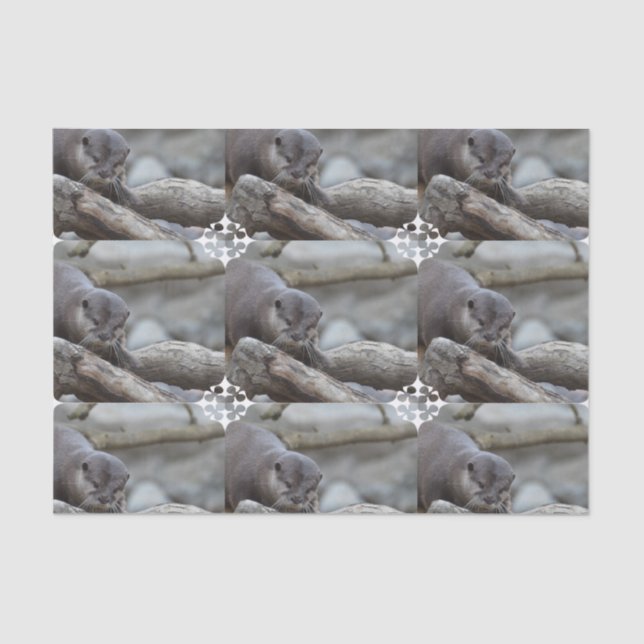 Papel De Seda Nutria adorable (Anverso)