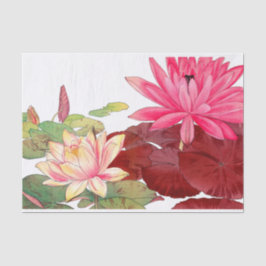 Papel De Seda Nymphaea lotus, Desahuciación