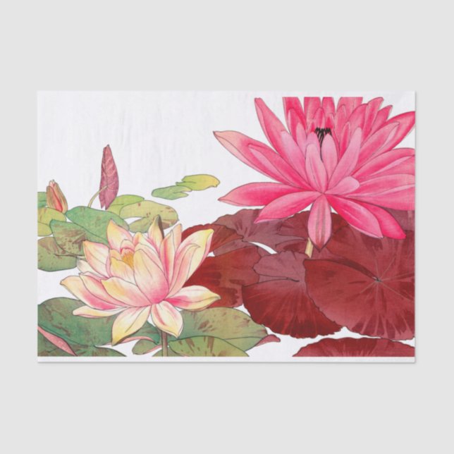 Papel De Seda Nymphaea lotus, Desahuciación (Anverso)