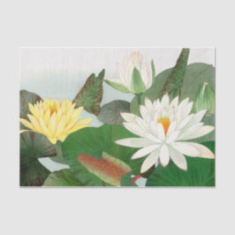 Papel De Seda Nymphaea lotus , Desnupcir