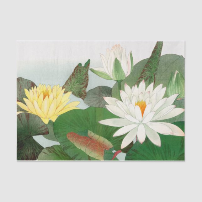 Papel De Seda Nymphaea lotus , Desnupcir (Anverso)