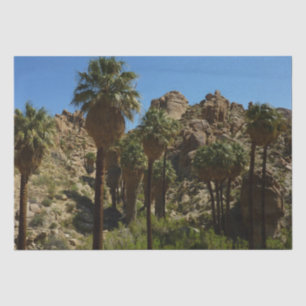 Papel De Seda Oasis Lost Palms I en el Parque Nacional Joshua Tr