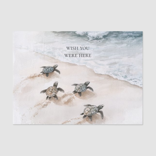 Papel De Seda Ocean Beach Coast Sea Turtles (Anverso)