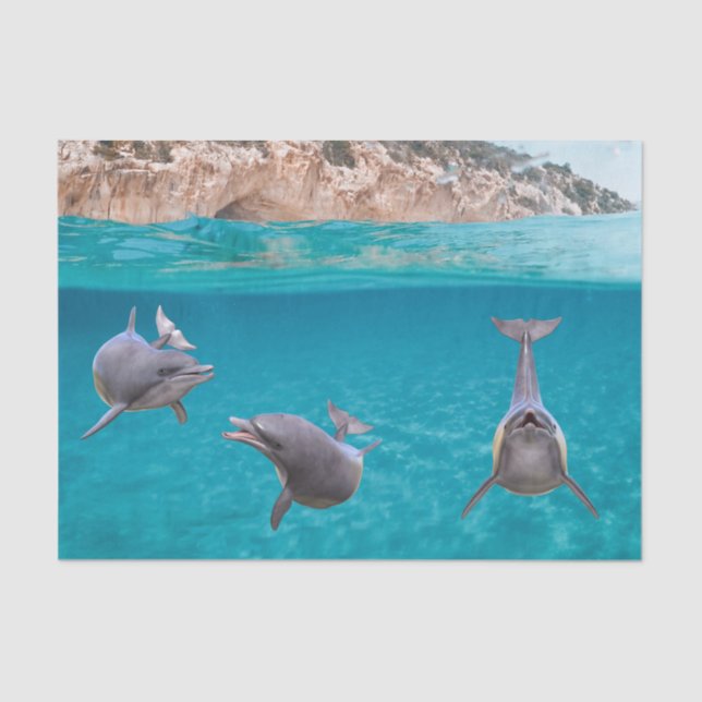 Papel De Seda Océano marino Cute Ocean Dolphin Lover (Anverso)