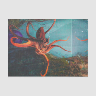 Papel De Seda Octopus