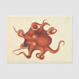 Papel De Seda Octopus Nautico Ephemera Desnudo Rojo