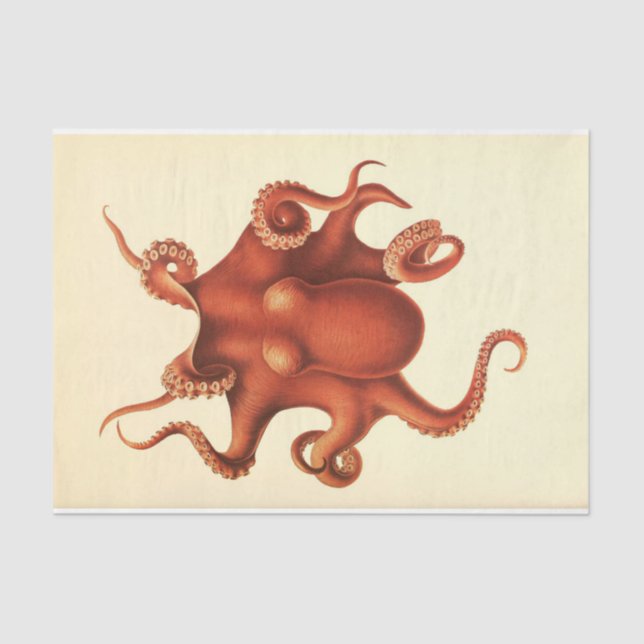 Papel De Seda Octopus Nautico Ephemera Desnudo Rojo (Anverso)