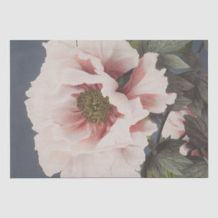 Papel De Seda Ogawa Kazumasa   Hermosa Impresión Fotomecánica