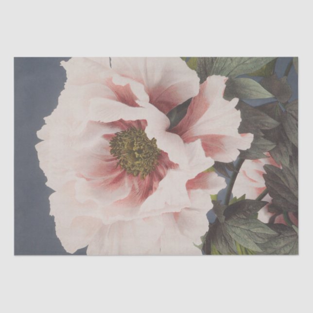 Papel De Seda Ogawa Kazumasa | Hermosa Impresión Fotomecánica (Anverso)