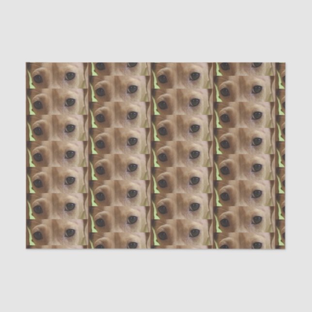 Papel De Seda ojos de crema dachshund (Anverso)